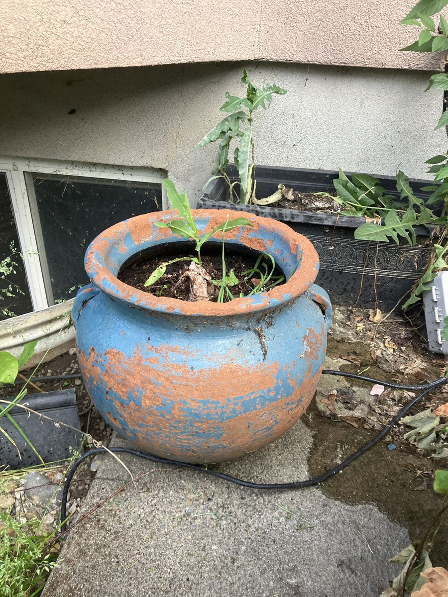 Planter / Flower Pot