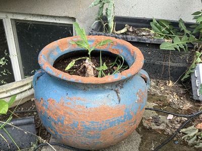 Planter / Flower Pot