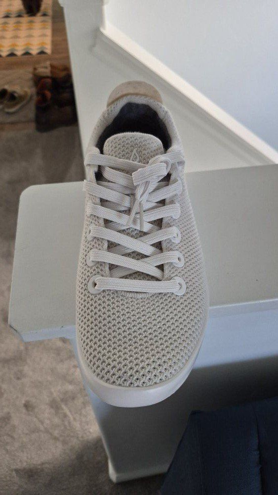 New Allbirds men's shoes