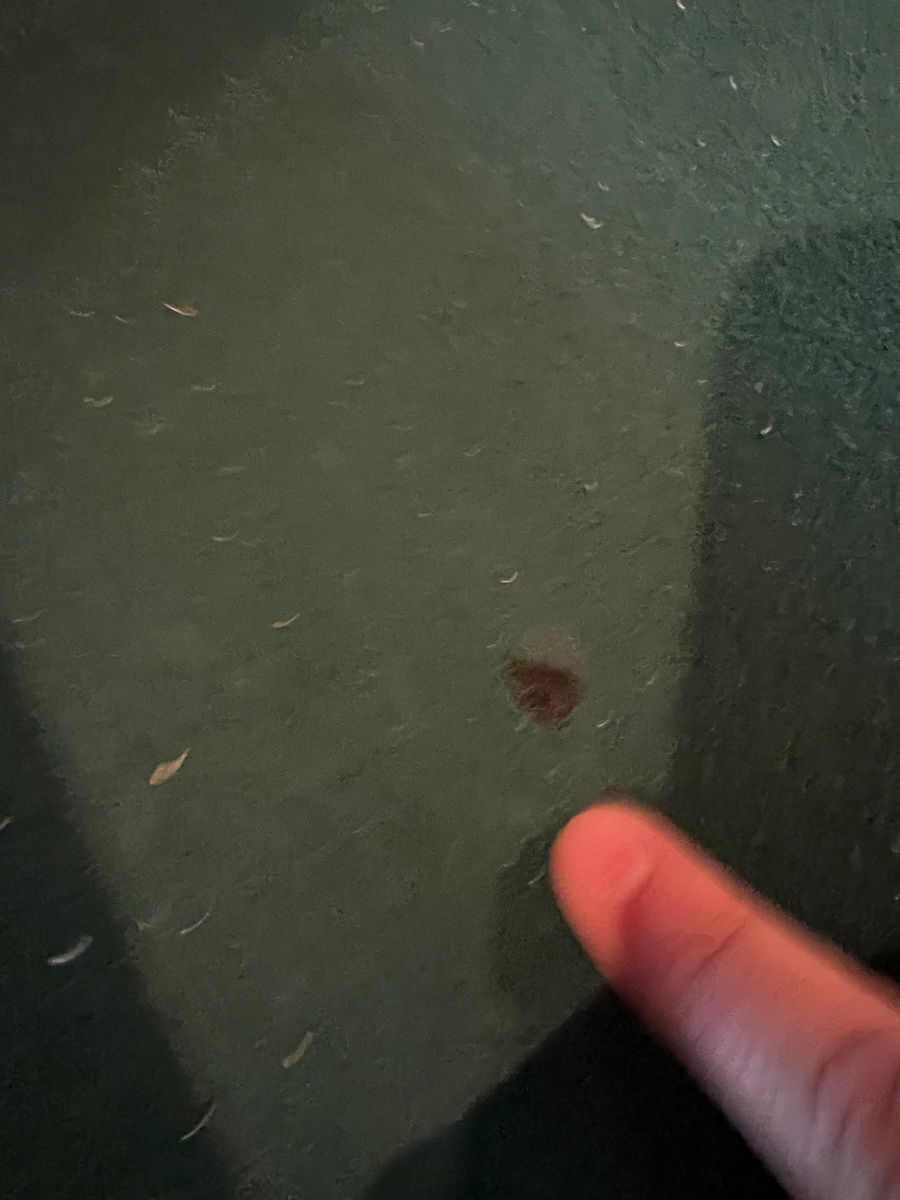Main image 8