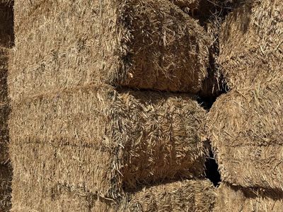 3X4 Sorghum Sudan/alfalfa
