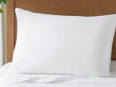 Downlite European Down Pillow, Medium, King 1533520 #103476