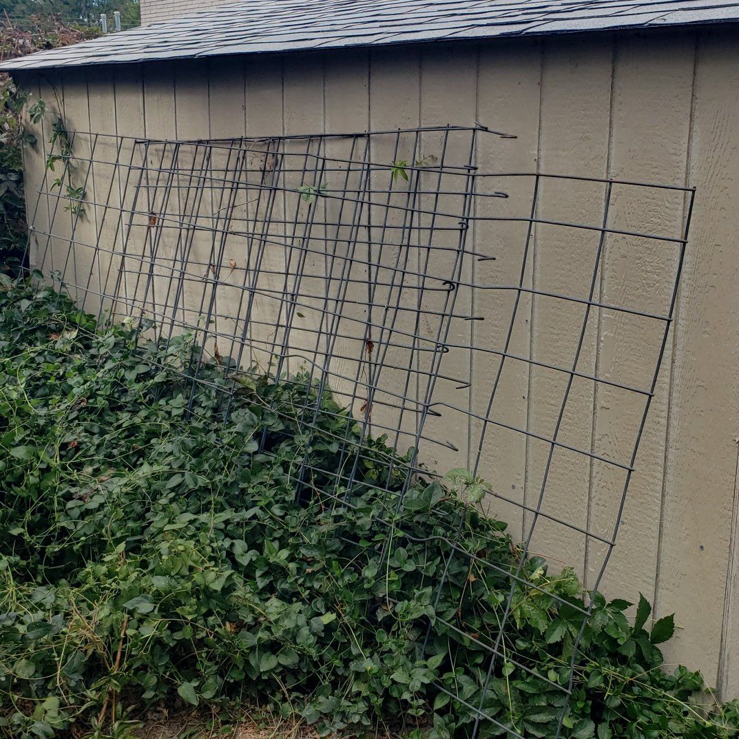 Steel Wire Mesh Remesh panels