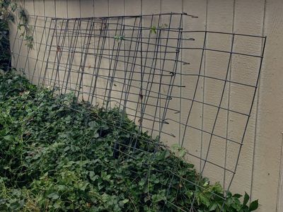 Steel Wire Mesh Remesh panels