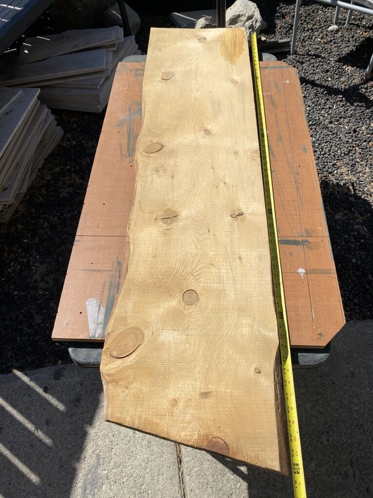 Spalted Pine Wood Live Edge Slab Beetlekill
