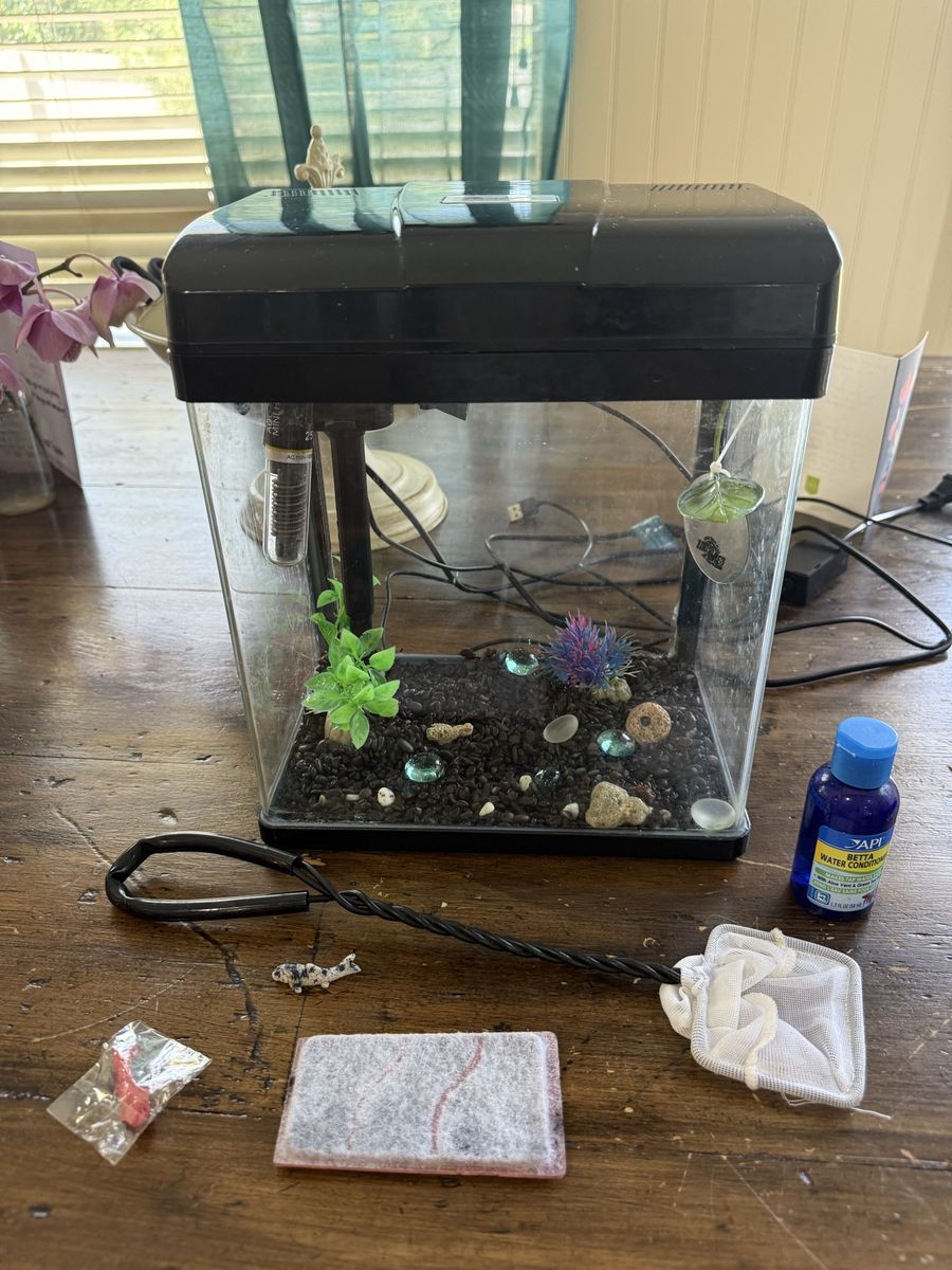 Fish aquarium tank with filter and heater,