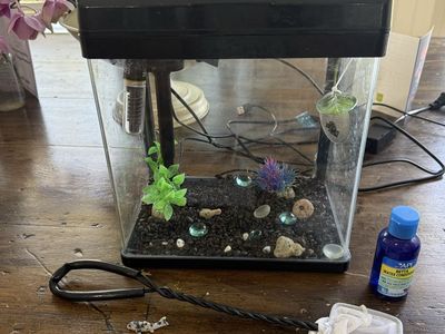 Fish aquarium tank with filter and heater,