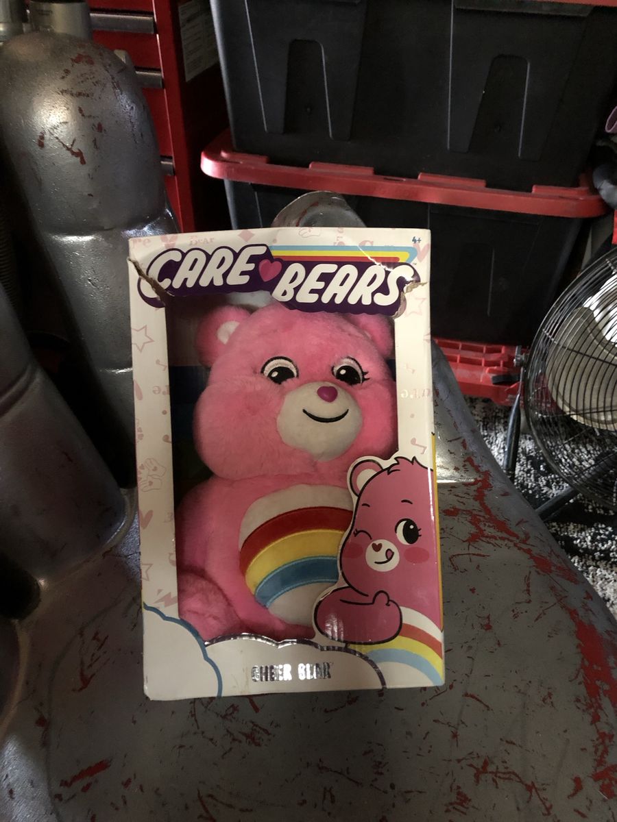 Care Bears Cheer Bear Plush Pink Rainbow Stuffed Animal in Box