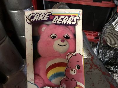 Care Bears Cheer Bear Plush Pink Rainbow Stuffed Animal in Box