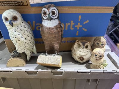 Owls