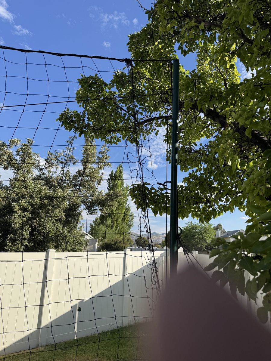 Main image 5