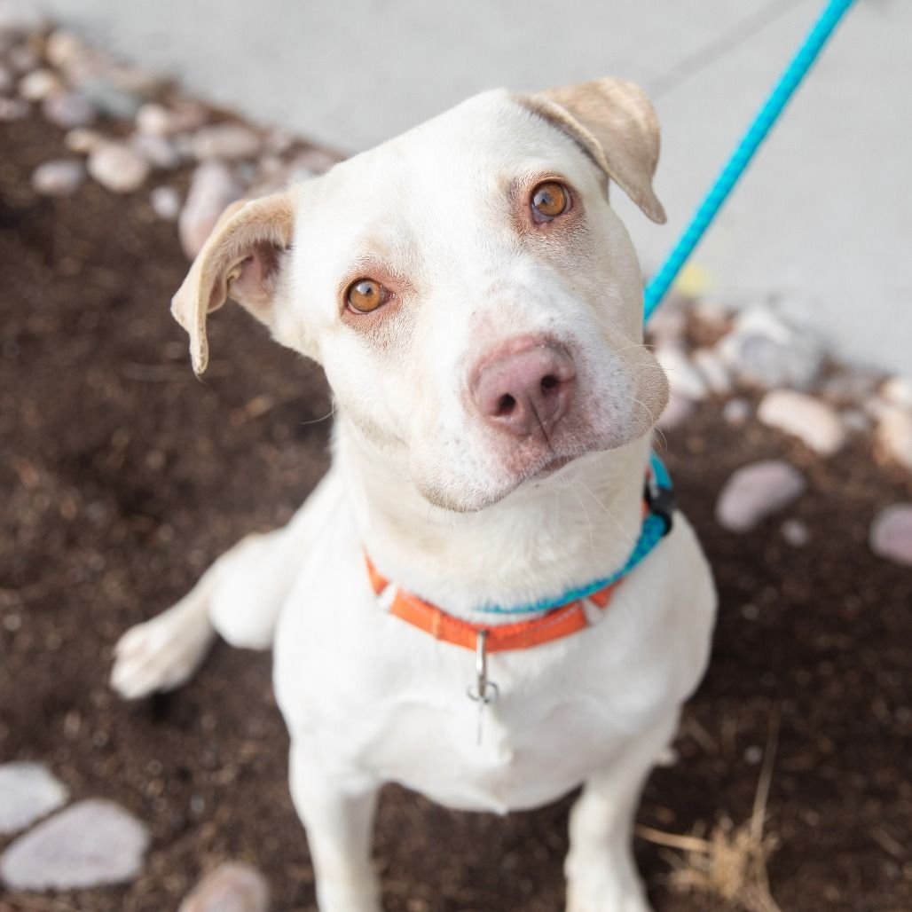 Hello my name is Daryl