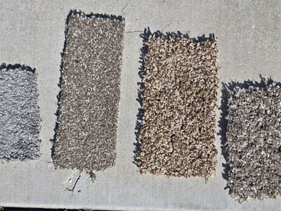 Carpet Clearance Sale