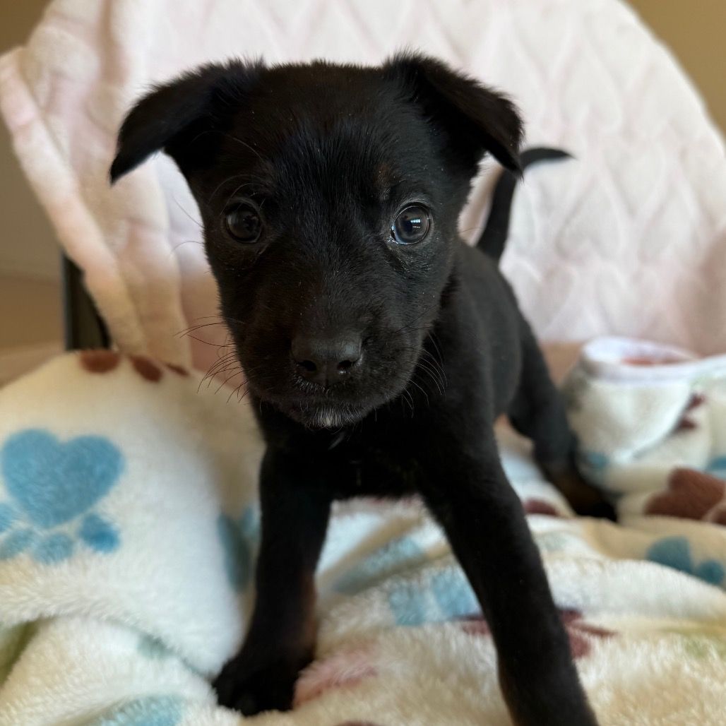 Hello my name is Winnie