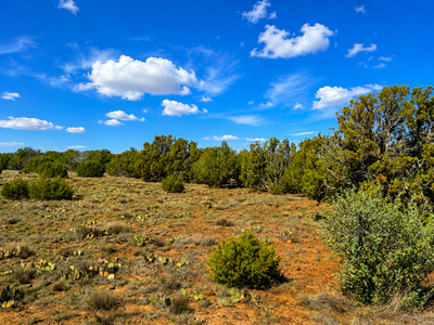 10 Acres in Concho, AZ. Build Your Future, Own Your Terms.