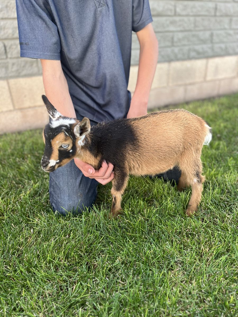 Cute as can be