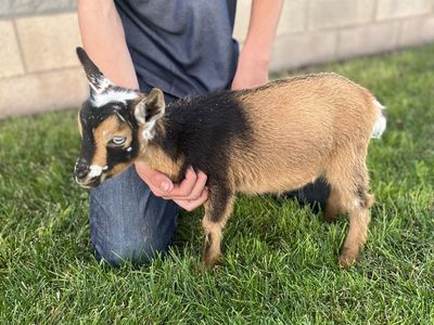 Cute as can be
