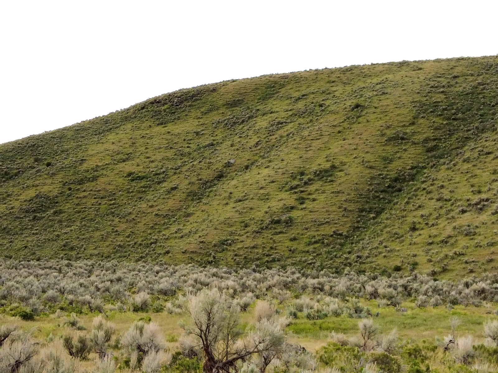 Shirley Creek Ranch