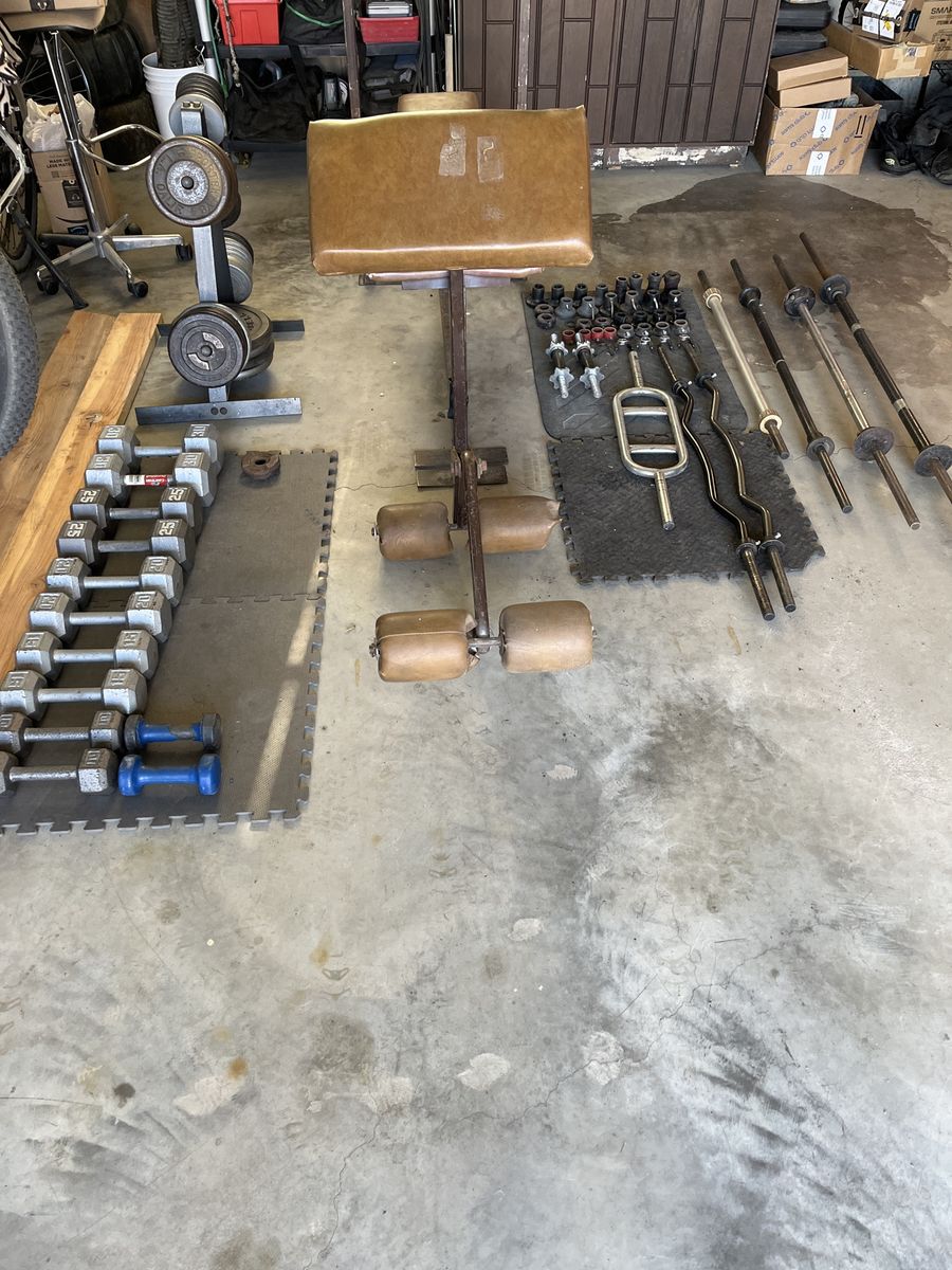 Weight bench, weights, and dumbbells