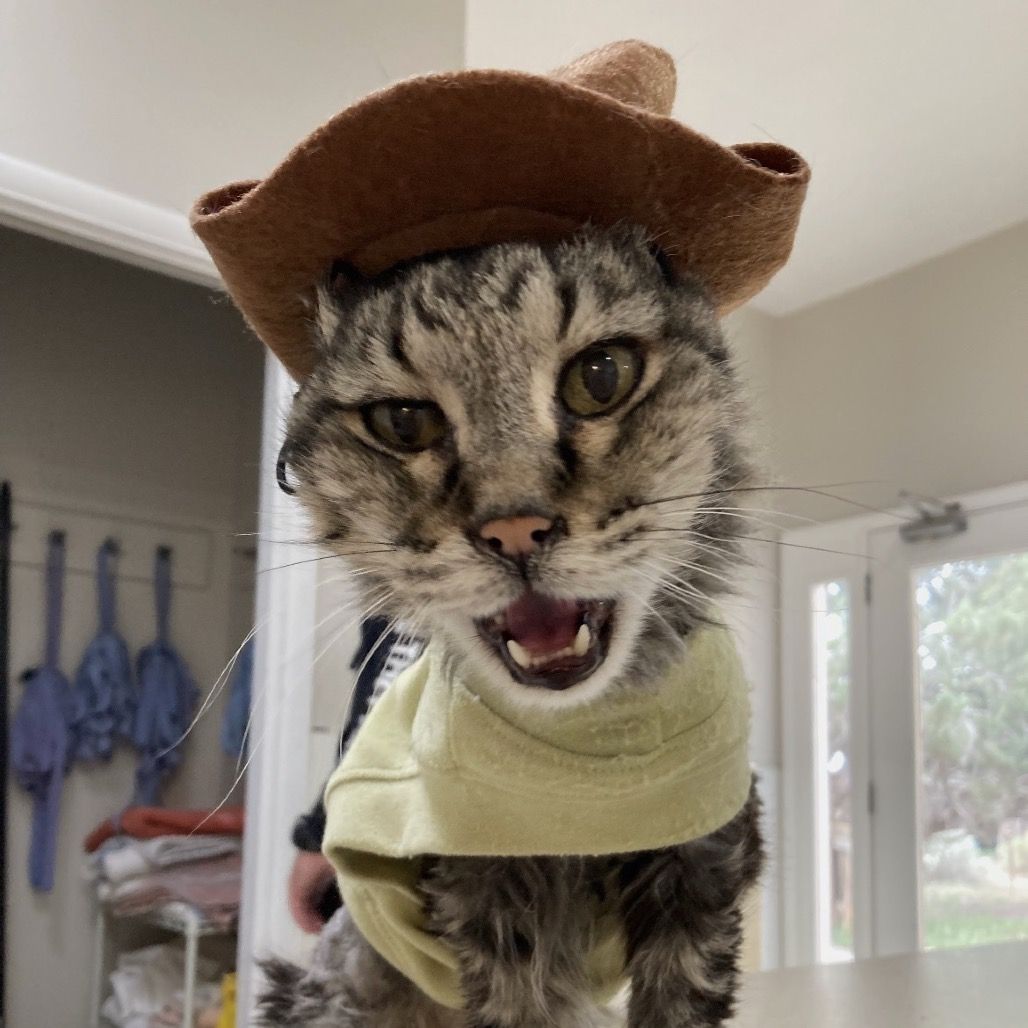 Hello my name is Ichabod