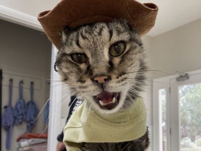 Hello my name is Ichabod
