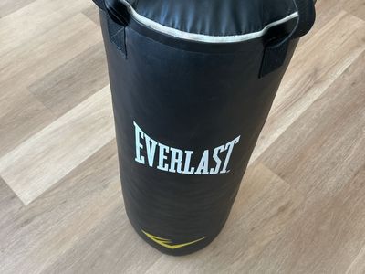 Everlast 50 pound Black Heavy Punching Bag with Hanging Chain Hardware
