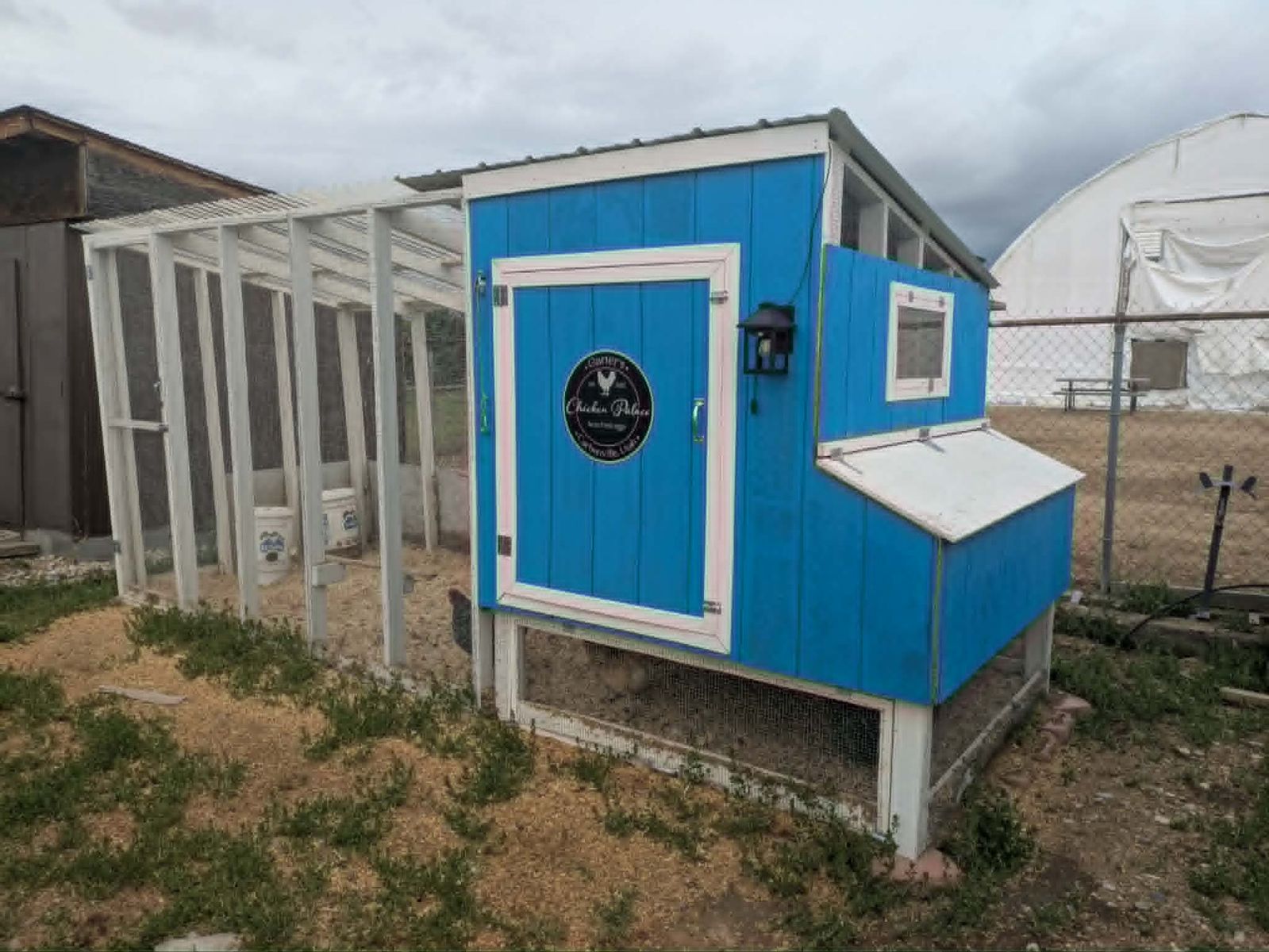 Chicken Coop, Chickens and Extras