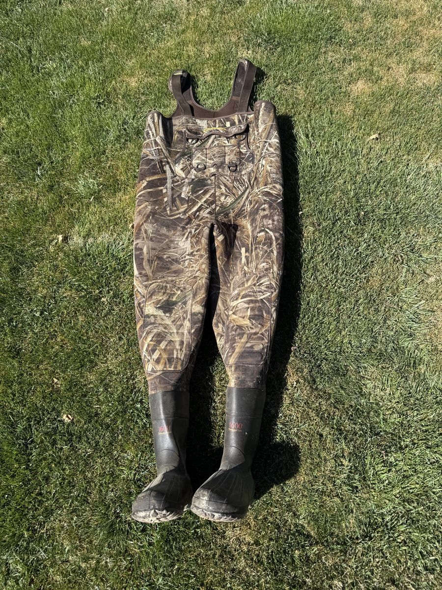 cabellas Max 5 1600s