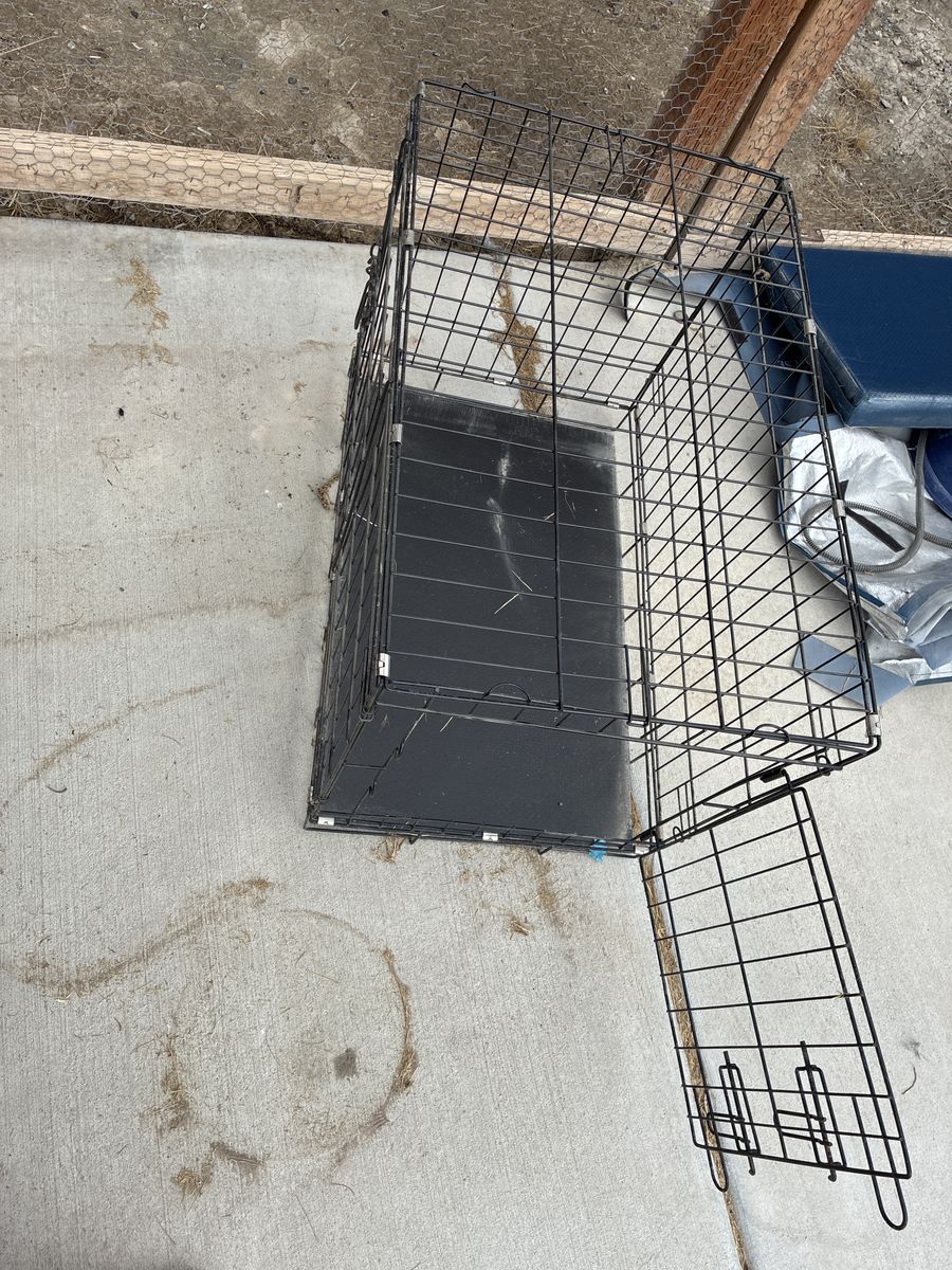 Medium dog kennel 