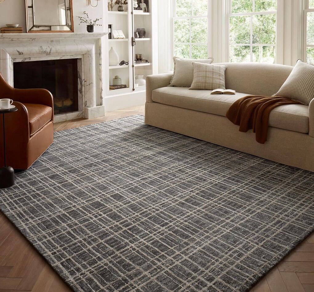 NEW Area Rug (Can Deliver)