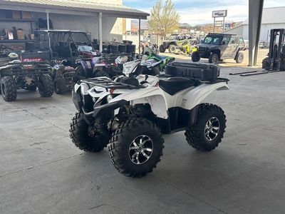 2020 Yamaha Grizzly EPS