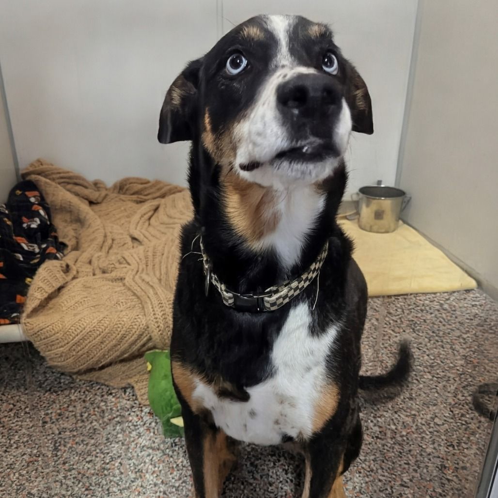 Hello my name is Margie