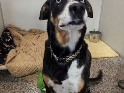 Hello my name is Margie