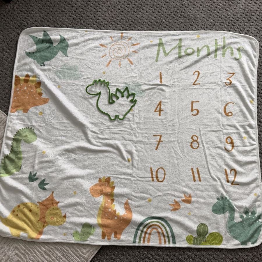 Baby monthly picture blanket