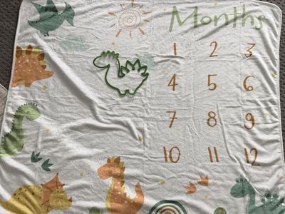 Baby monthly picture blanket