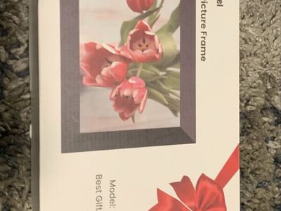 MaxAngel Digital Picture Frame