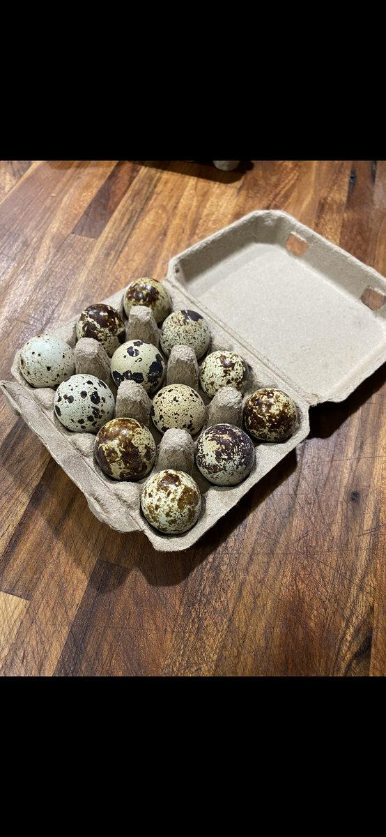 $3 a dozen (fresh quail eggs)