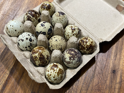 $3 a dozen (fresh quail eggs)