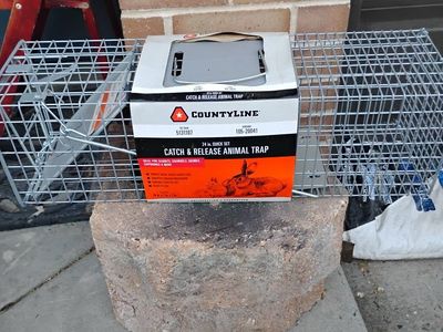 COUNTYLINE 24in Quick Set Catch & Release Animal Trap - Live Cage for Rabbits & Squirrels