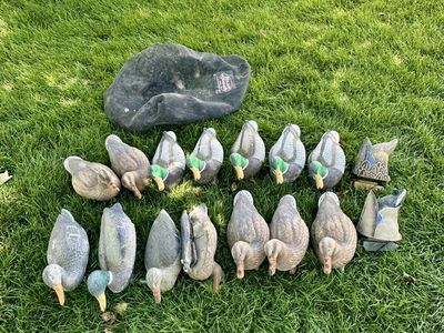 16 ea. mallard decoys and bag