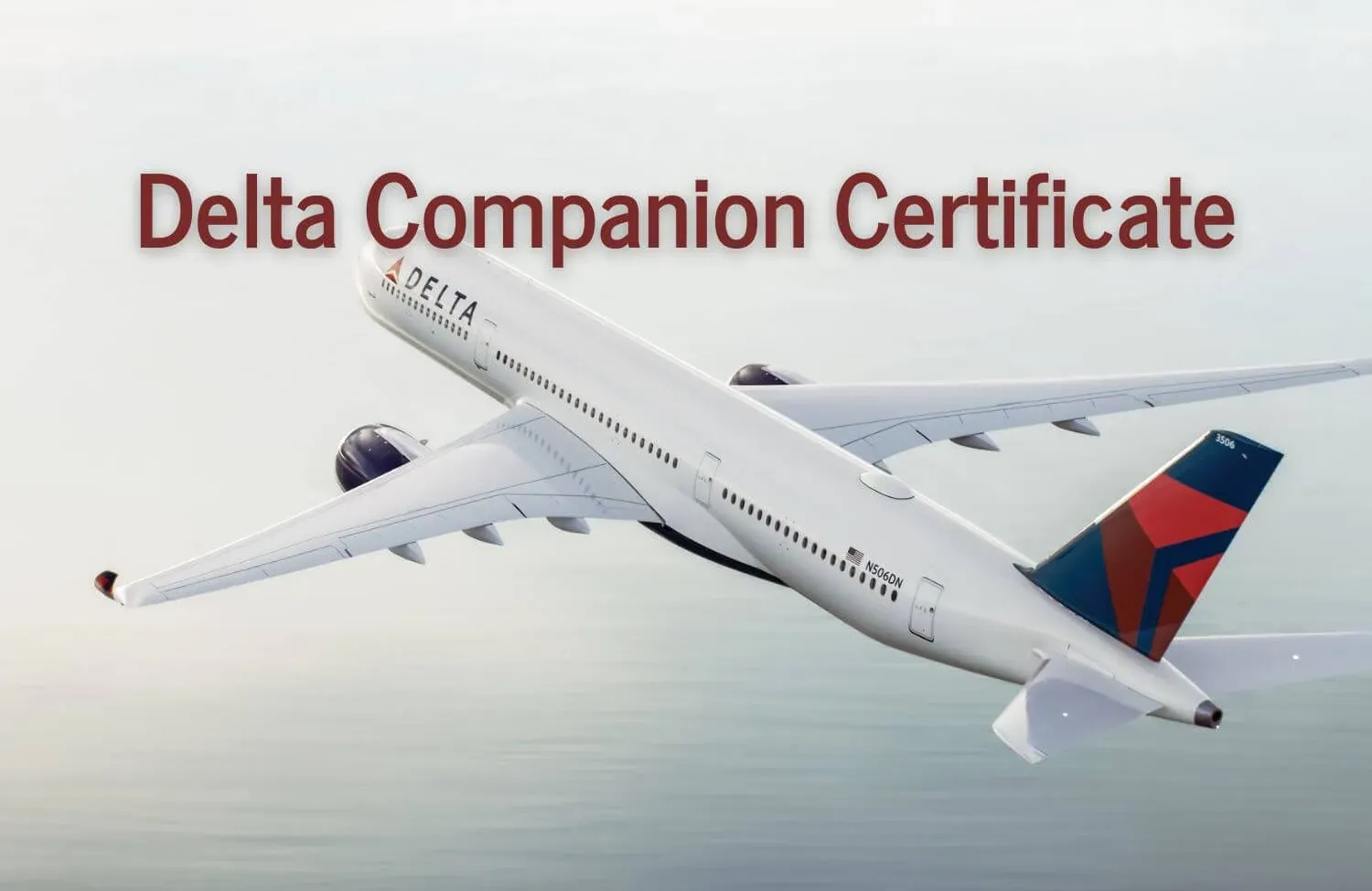 DELTA COMPANION TICKET
