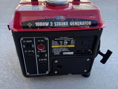 1000 W 2-Stroke Generator