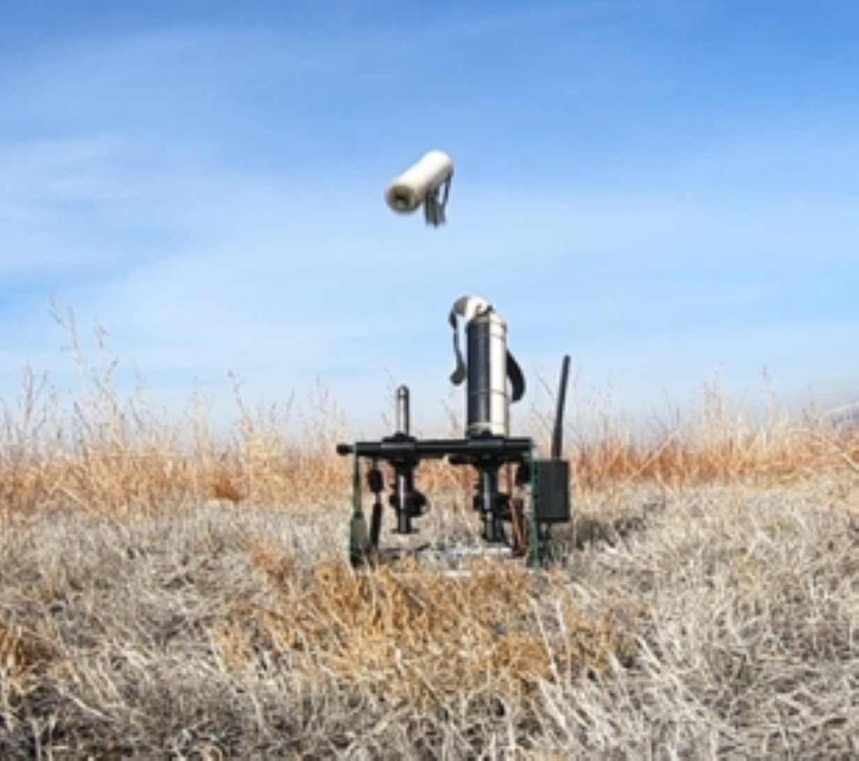 Main image 4