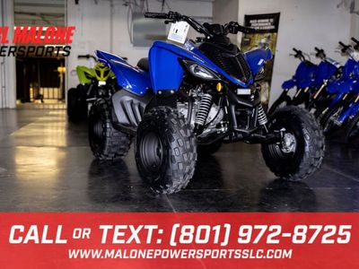 2026 Yamaha Raptor 110