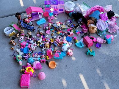 HUGE Mixed Toy Lot – LOL Surprise, Mini Dolls, Pets, Accessories & More!
$25 OBO
