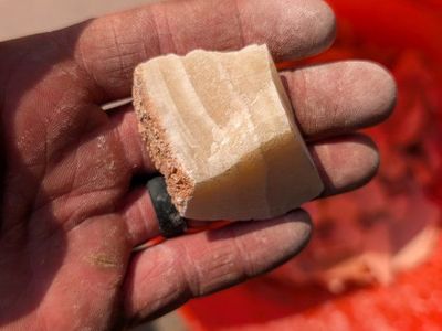 15lbs Native Utah Honey calcite Trimmings