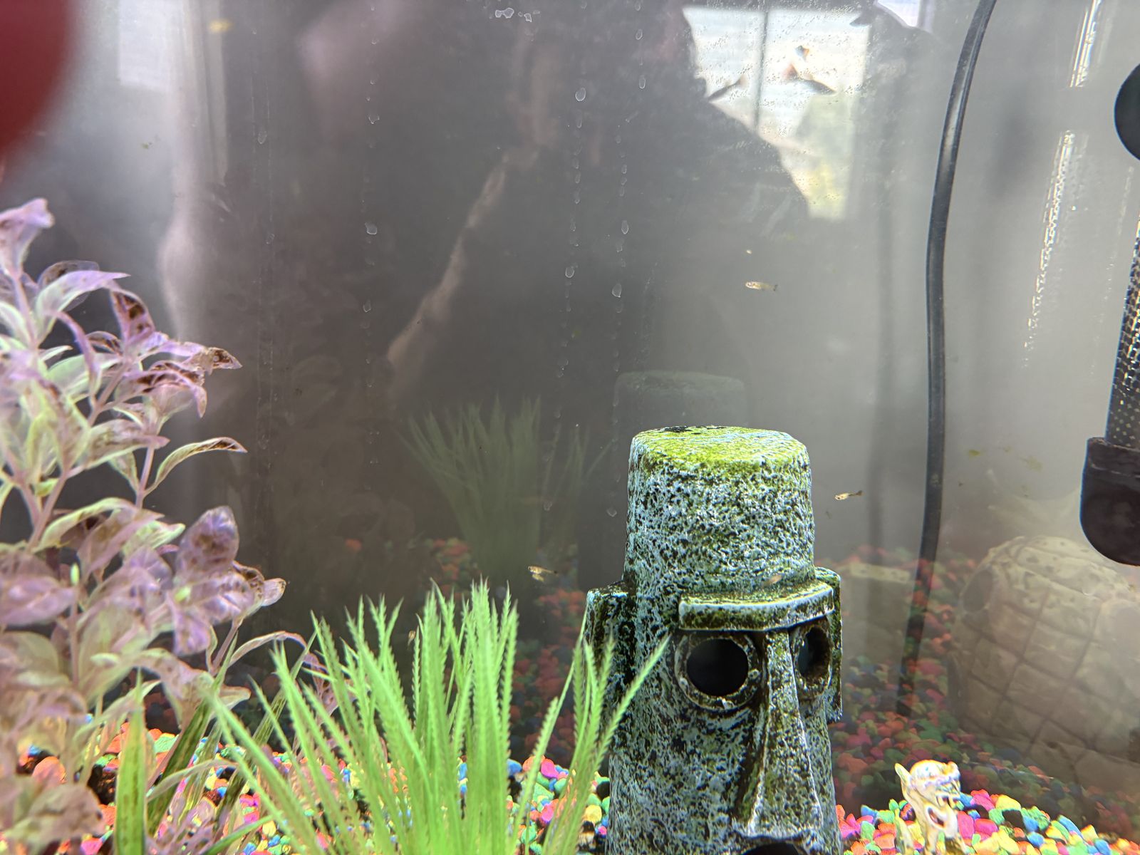 Main image 5