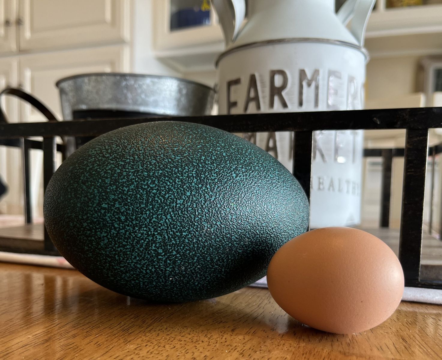 Emu Eggs and Sexed Chicks