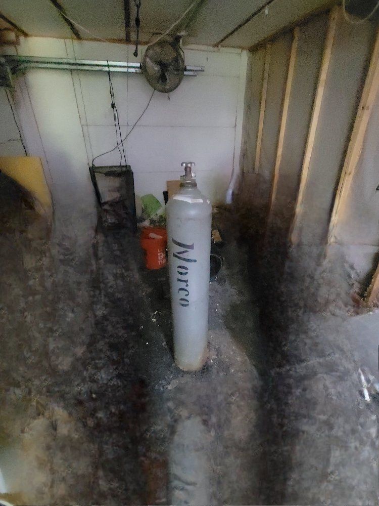 Main image 4