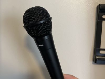 Ion Microphone And Fuzz Petal